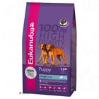 Eukanuba Puppy Large Breed