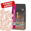 Eukanuba-suurpakkaus + hammashoitoherkut kaupan päälle!