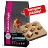 Eukanuba-suurpakkaus + koiran älypeli kaupan päälle!