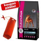 Eukanuba-suurpakkaus + Training-Dummy kaupan päälle!