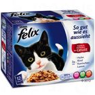 Felix 