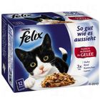 Felix 