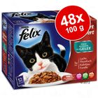 Felix 