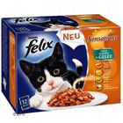 Felix 