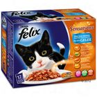 Felix 