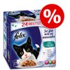 Felix ''So gut wie es aussieht'' in Gelee 24 x 100 g
