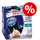 Felix ''So gut wie es aussieht'' in Gelee 24 x 100 g