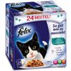 Felix ''So gut wie es aussieht'' in Gelee 24 x 100 g