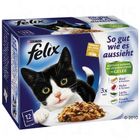 Felix 