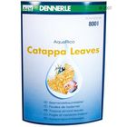 Feuilles de badamier Dennerle Catappa Leaves