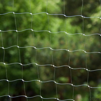 http://media.zooplus.com/bilder/filet/de/protection/pour/chat/transparent/1/400/10824_3_detail_1_1.jpg