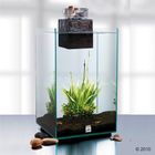 Fluval CHI - Kit Acquario 25 l con Luci LED