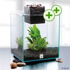Fluval CHI - Kit Acquario 19 l con Luci LED