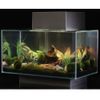 Fluval Edge Aquarium 25 liter