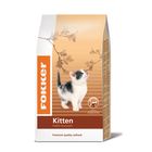 Fokker Kitten pour chaton