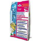 Forza 10 Maintenance Medium au poisson