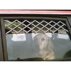 Fresh Air Lattice