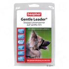 Gentle Leader anti-trazione