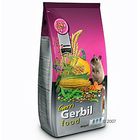 Gerri Gerbil gerbilli