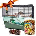 Gift Set: Nibble Log & Fruity Fun