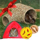 Gift Set : Small Pet Play Time!