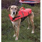 Gilet de sauvetage pour chien