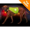 Gilet de sécurité pour chien Safety-Dog