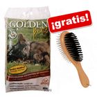 Golden Pine arena aglomerante 8 kg + Cepillo doble ¡gratis!