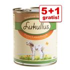 5 + 1 gratis! Lukullus Frühlings-Menü: Zartes Lammfleisch