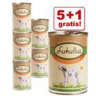 5 + 1 gratis! Lukullus Spring Menu, delikatna jagnięcina