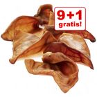 9 + 1 gratis! 10 Orecchie di Maiale