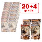 20 + 4 gratis! 24 x 100 g Catessy Pouch