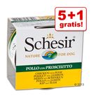5 + 1 gratis! 6 x 150 g Schesir Nassfutter