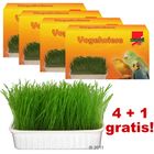 4 + 1 gratis! Zapas trawy dla ptaków Mucki