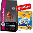 Großgebinde Eukanuba + Multipack Pedigree Denta Stix gratis!