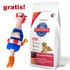 Großgebinde Hill's Canine + Hundespielzeug gratis!