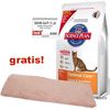 Großgebinde Hill's Feline + Fensterbrettauflage gratis!