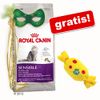 Großgebinde Royal Canin + Catnip-Kamelle gratis!