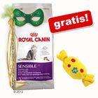 Großgebinde Royal Canin + Catnip-Kamelle gratis!