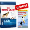 Großgebinde Royal Canin Size + Marco Polo Reiseführer!