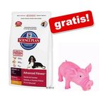 Grote zak Hill's Canine + Roze Latex Varken GRATIS