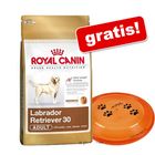Grote zak Royal Canin Breed + Trixie Dog Activity Disc