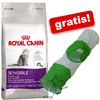 Grote zak Royal Canin Feline + kattentunnel GRATIS!