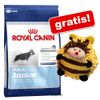 Grote zak Royal Canin + hondenspeeltje Bij GRATIS!