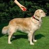 Guinzaglio per cani Flexi Click