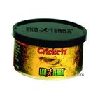 Hagen Exo Terra Crickets Reptile Food