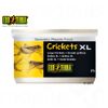 Hagen Exo Terra Crickets XL– Reptile Food