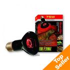Hagen Exo Terra  Heat Glo Promiennik podczerwieni