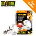 Hagen Exo Terra Intense Basking Spot