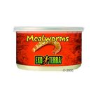Hagen Exo Terra Mealworms Reptile Food